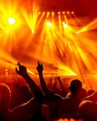 Echo and The Bunnymen