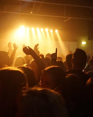 Leonid & Friends - A Tribute To Chicago