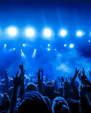 Violet Evergarden New York