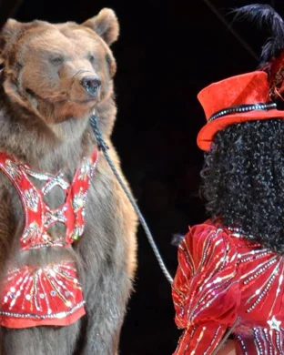 Ringling Bros. and Barnum & Bailey Circus