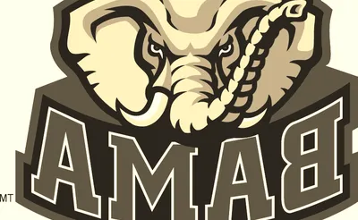 Alabama Crimson Tide