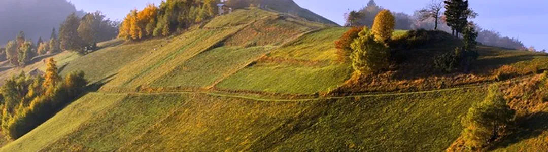 American Airlines Global Wine Dinner Series