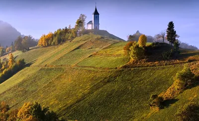 American Airlines Global Wine Dinner Series