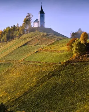 American Airlines Global Wine Dinner Series: Greek Classics