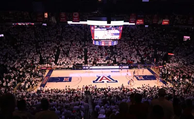 Arizona Wildcats Basketball