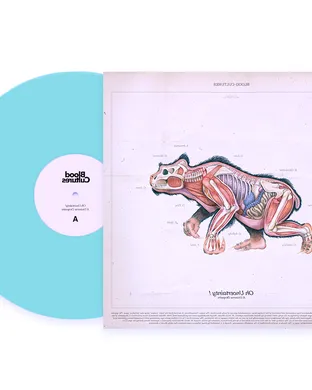 Live concert by Blood Cultures