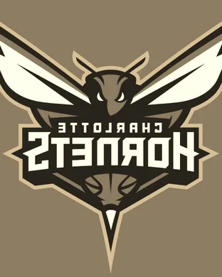 Charlotte Hornets vs. New York Knicks