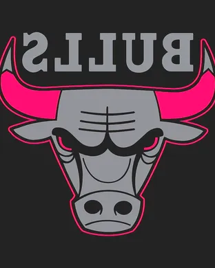 Chicago Bulls