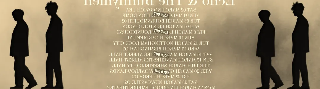 Echo and The Bunnymen