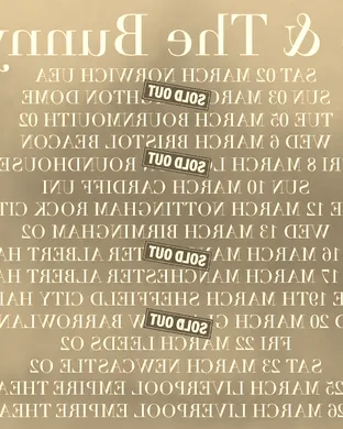 Echo and The Bunnymen