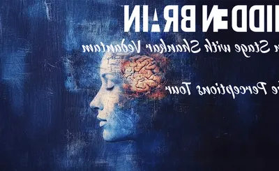 Hidden Brain Live: Shankar Vedantam