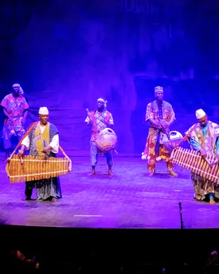 Les Ballets Africains theatre performance