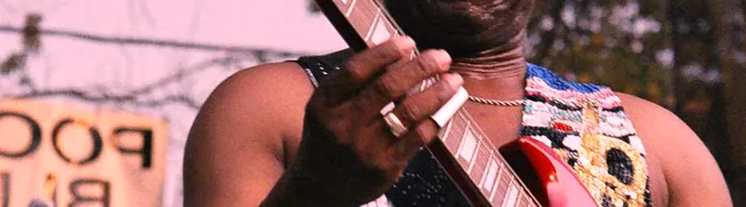 Lil Ed And The Blues Imperials