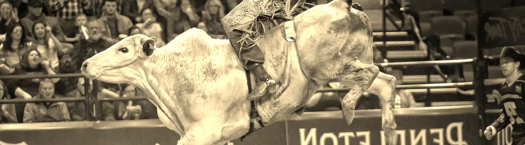 PBR - Professional Bull Riders