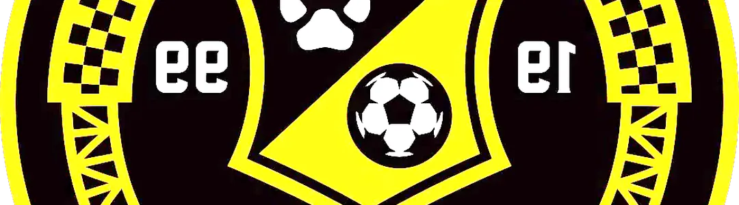 Pittsburgh Riverhounds SC