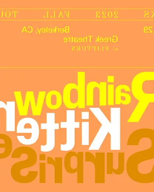 Rainbow Kitten Surprise 