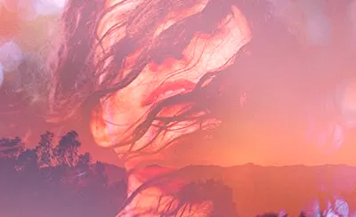 Rhye