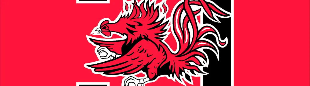 South Carolina Gamecocks