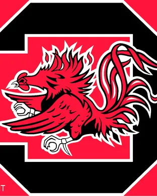 South Carolina Gamecocks vs. Princeton Tigers