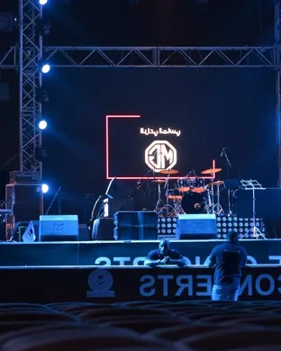 Spring Festival: Lunar New Year Celebration - Alan Walker