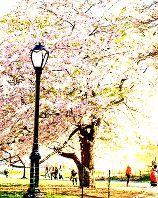 Stay In Bloom NYC: Illenium & Dabin