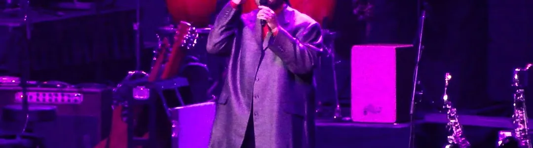 Stevie Wonder