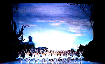 Swan Lake
