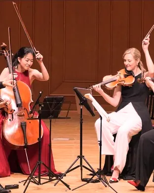 Terra String Quartet