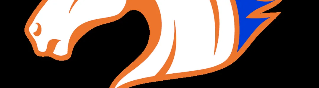 Texas Arlington Mavericks