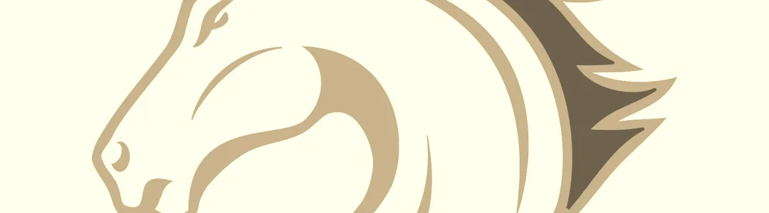 Texas Arlington Mavericks