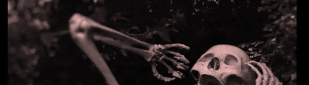 The Best One Yet Live