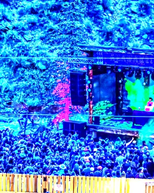 The Polish Ambassador