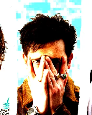 The Wombats