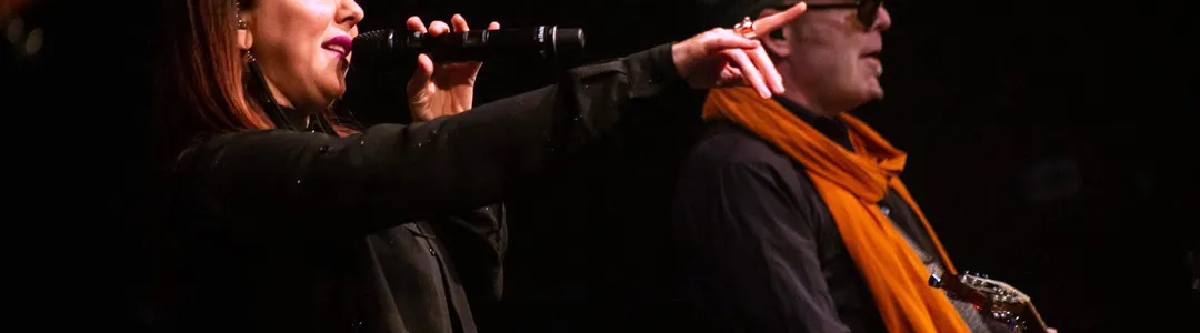 Thievery Corporation