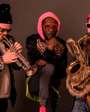Too Many Zooz Brooklyn