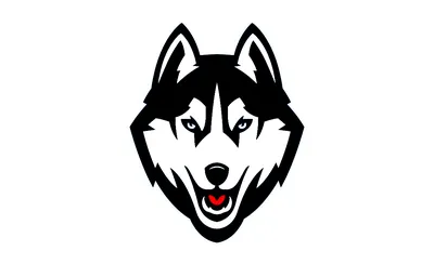 UConn Huskies