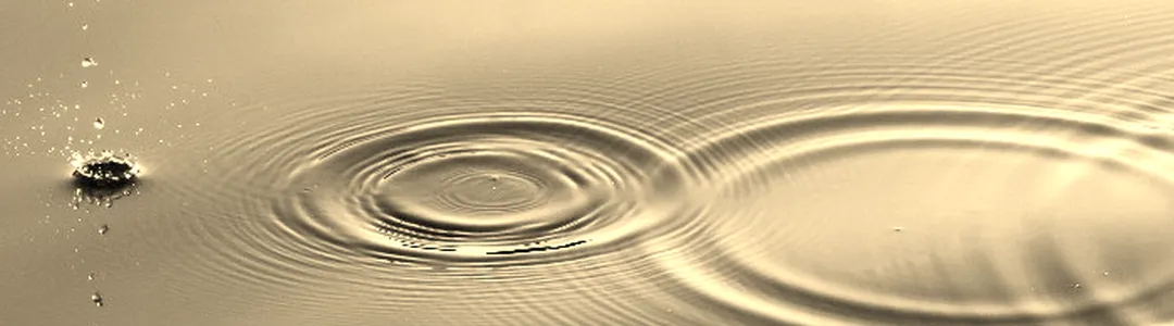 Water From Your Eyes