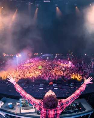 Zedd - 2 Day Pass