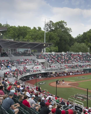 Southern Maryland Blue Crabs