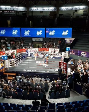 The Armored League Experience