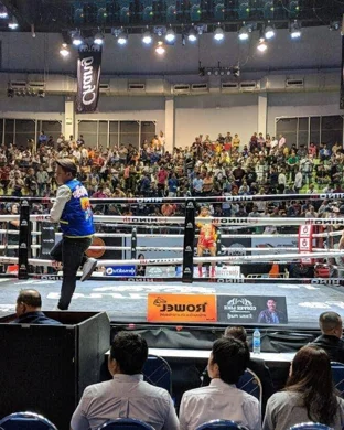 Caribeno Champs Classic