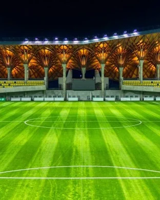 Major League Pickleball