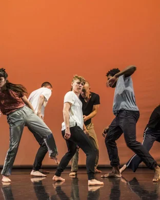 Robyn Orlin New York