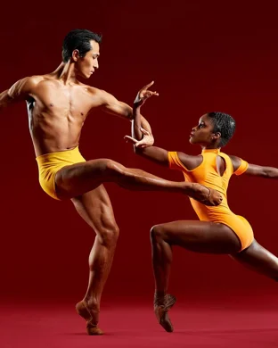 Nrityagram Dance Ensemble