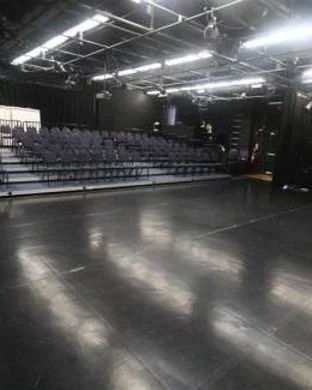 Pinkalicious New York